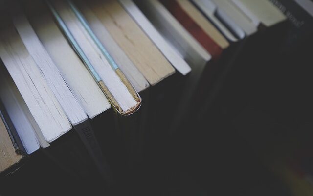 Books lined up in a row