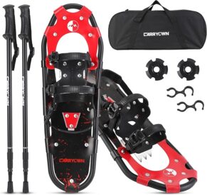 Product image of snowshoes, trekking poles, and carrying bag.